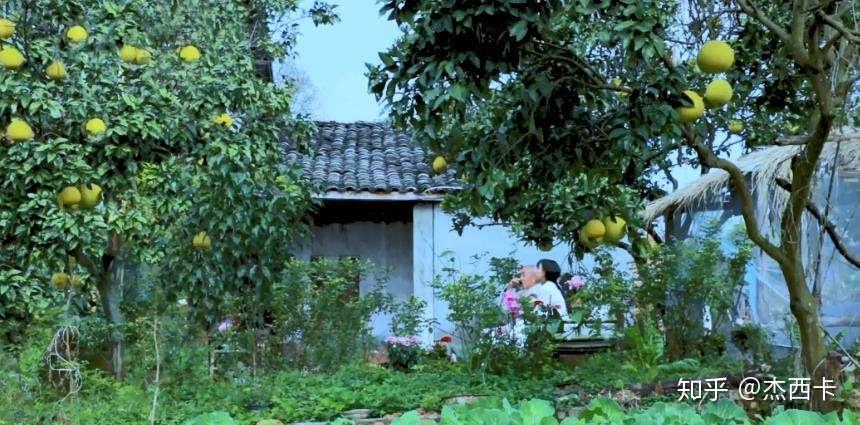 李子柒家的院子真实图图片