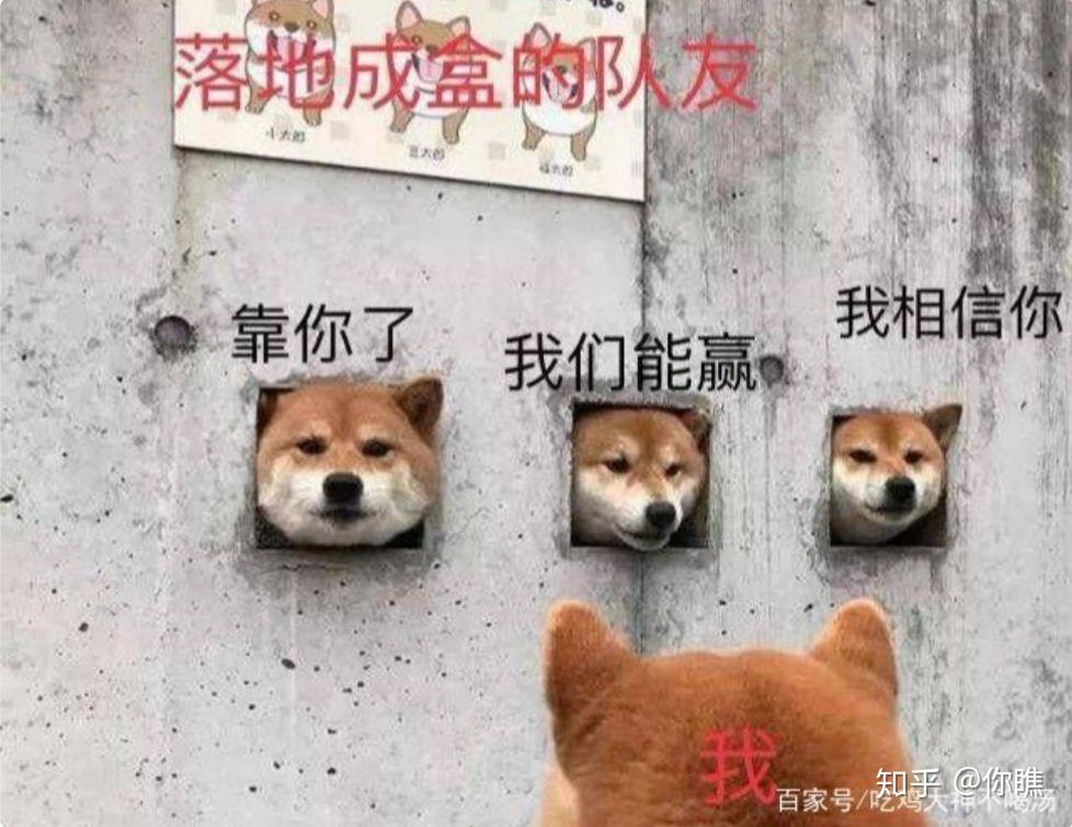 有没有关于和平精英的表情包? - 知乎