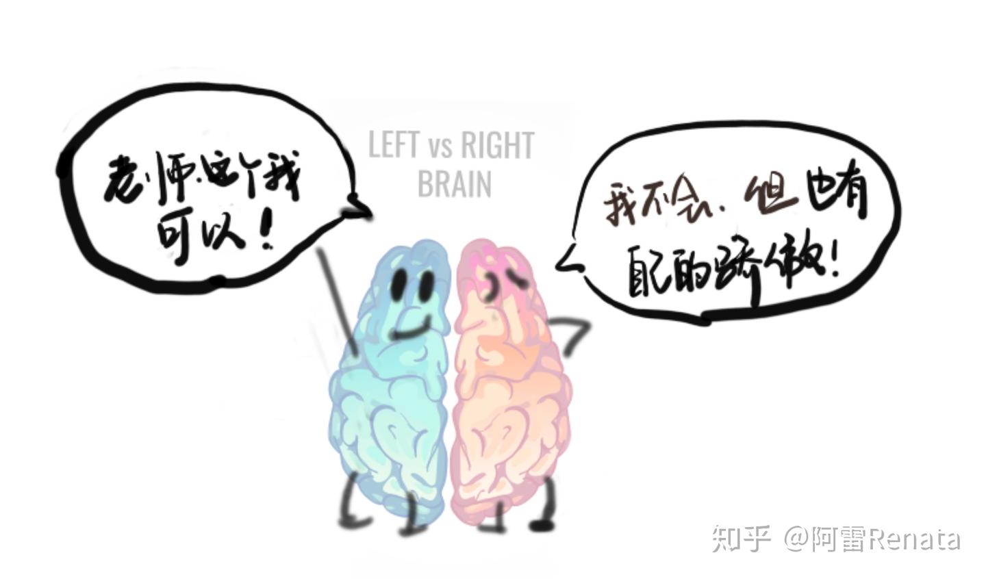 左右都是脑，有啥不一样？|偏侧化初探 - 知乎