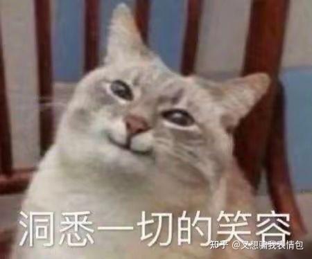 搞笑又可爱带点姨母笑的表情包有哪些？ - 知乎