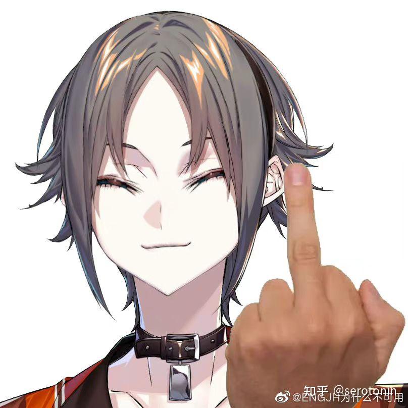 各位姐妹求求luxiem的表情包