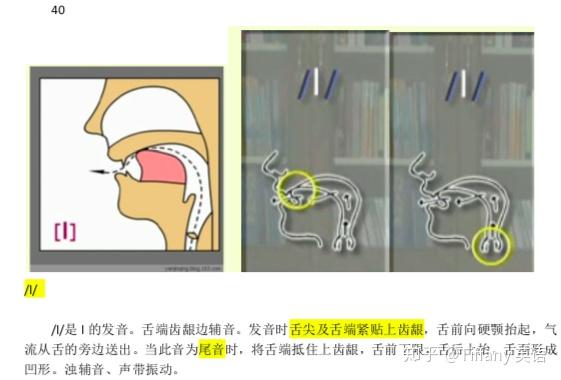 48个国际音标发音舌位图 - 知乎