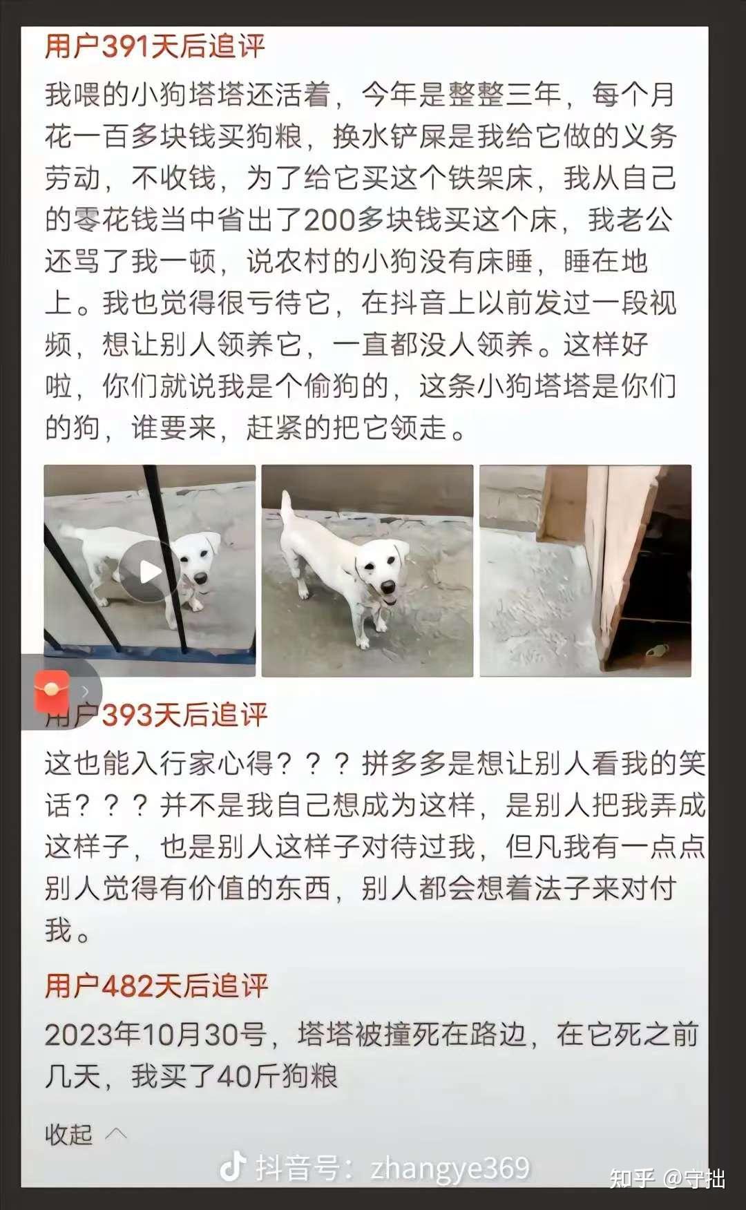你怎么理解网文的文笔？其实我觉得大部分成名的作品文笔都不错，只是有些人对文笔理解太狭隘了? - 知乎