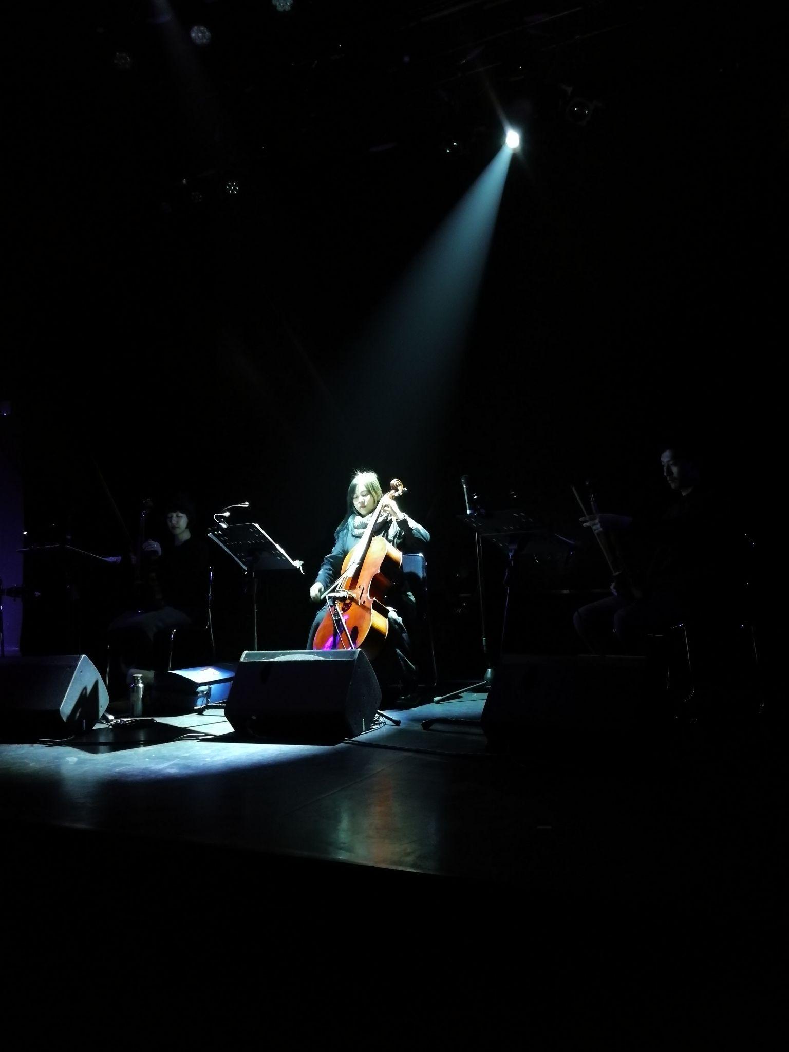 如何评价cicada这支乐队