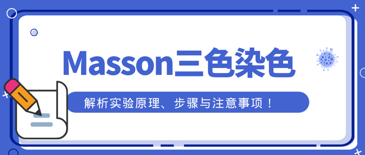 深入探秘masson三色染色：解析实验原理、步骤与注意事项！ 知乎