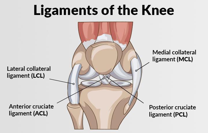 acl-pcl-mcl-lcl