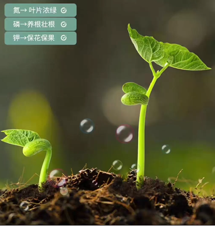 行业技术再升级 安徽聚科生物以赋硒技术打造富硒营养土 - 知乎