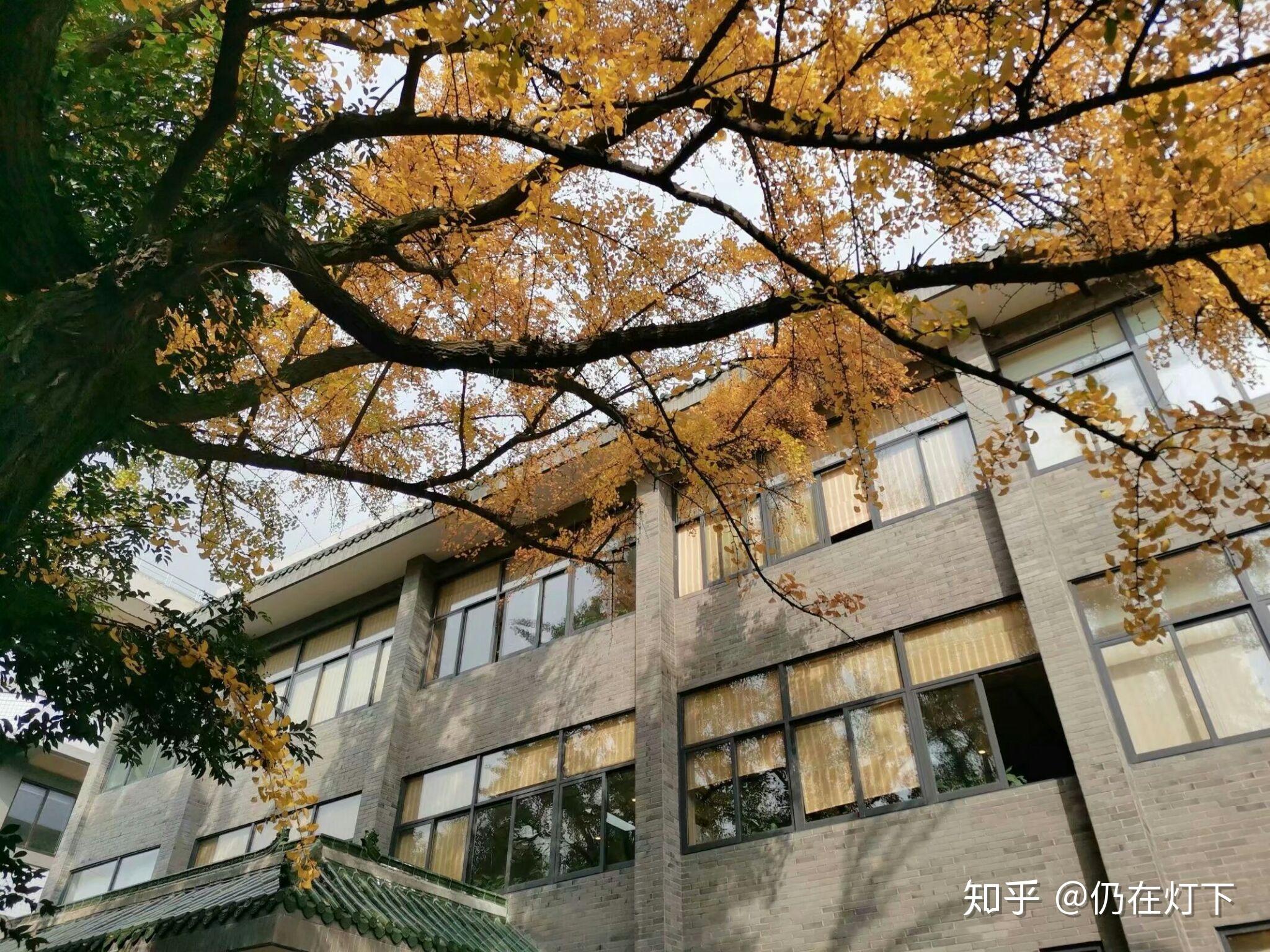 怎样评价成都四中文庙校区