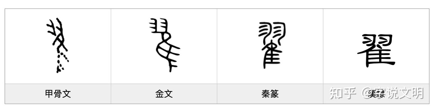 翟——每日一字·隹部字 - 知乎
