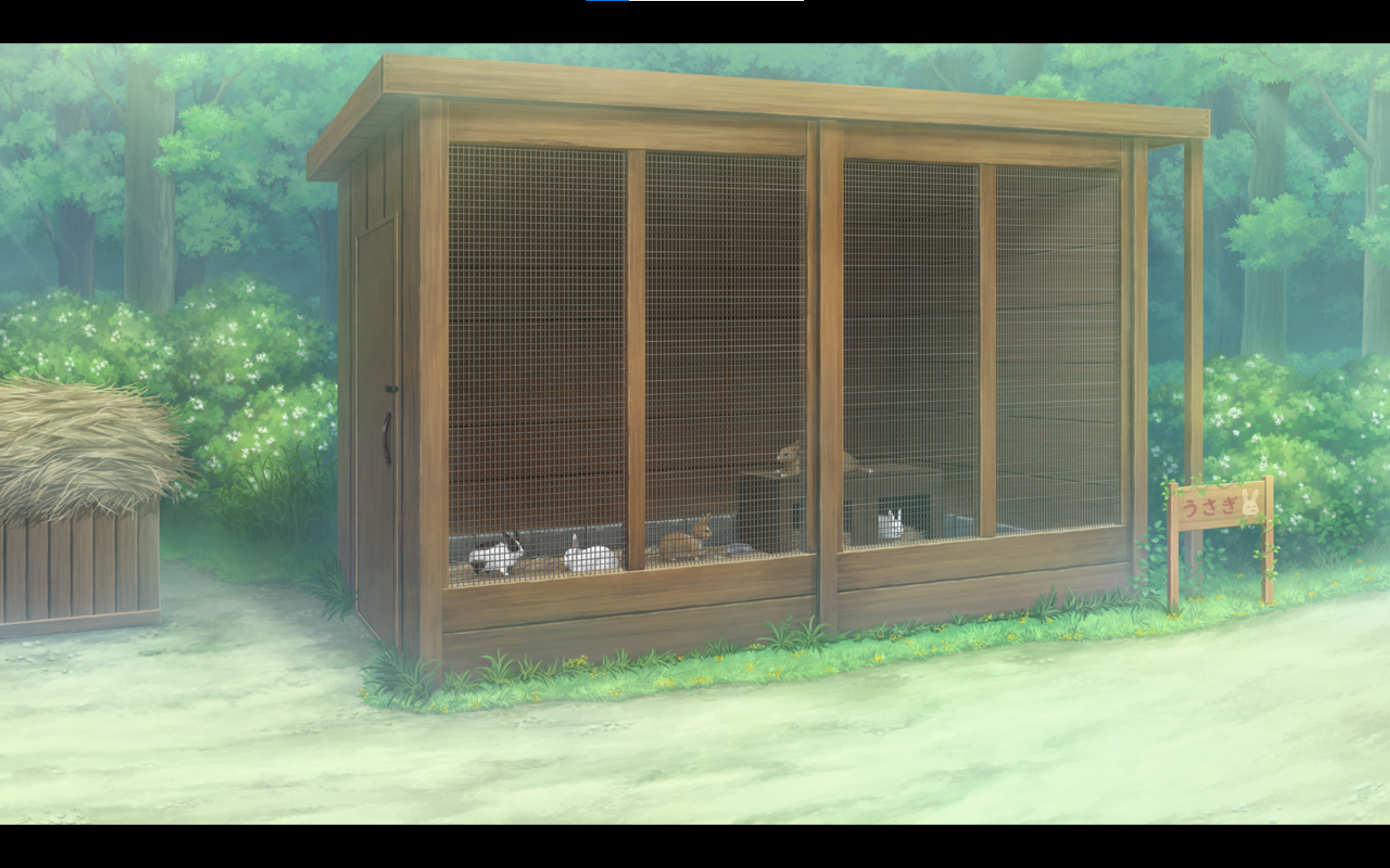 你有哪些想要分享的galgame背景? - 知乎