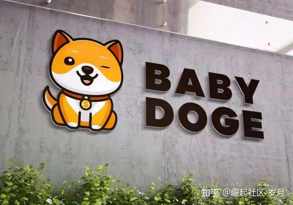 babydoge能成为下一个万倍币吗? - 知乎