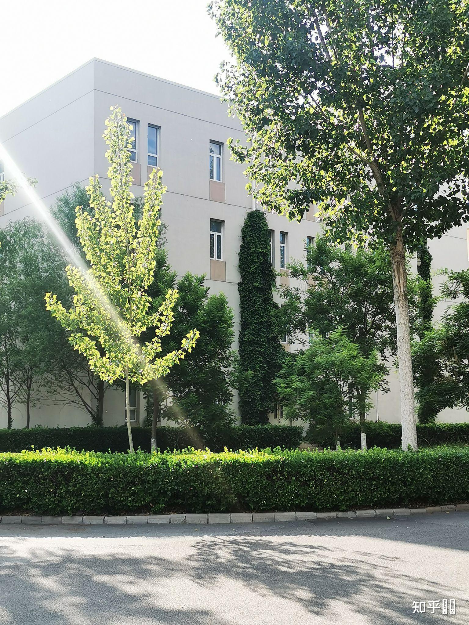 天津财经大学珠江学院怎么样(天津财经大学珠江学院怎么样能考研吗)