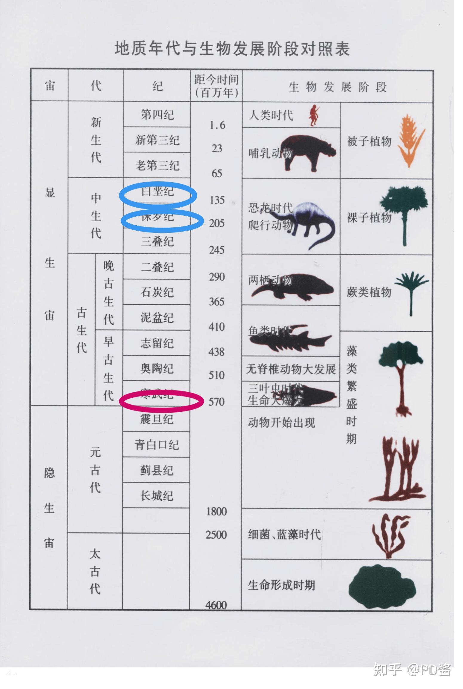 侏罗纪 白垩纪 三叠纪 寒武纪顺序? - 知乎