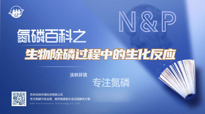 氮磷百科—生物除磷过程中的生化反应 - 知乎