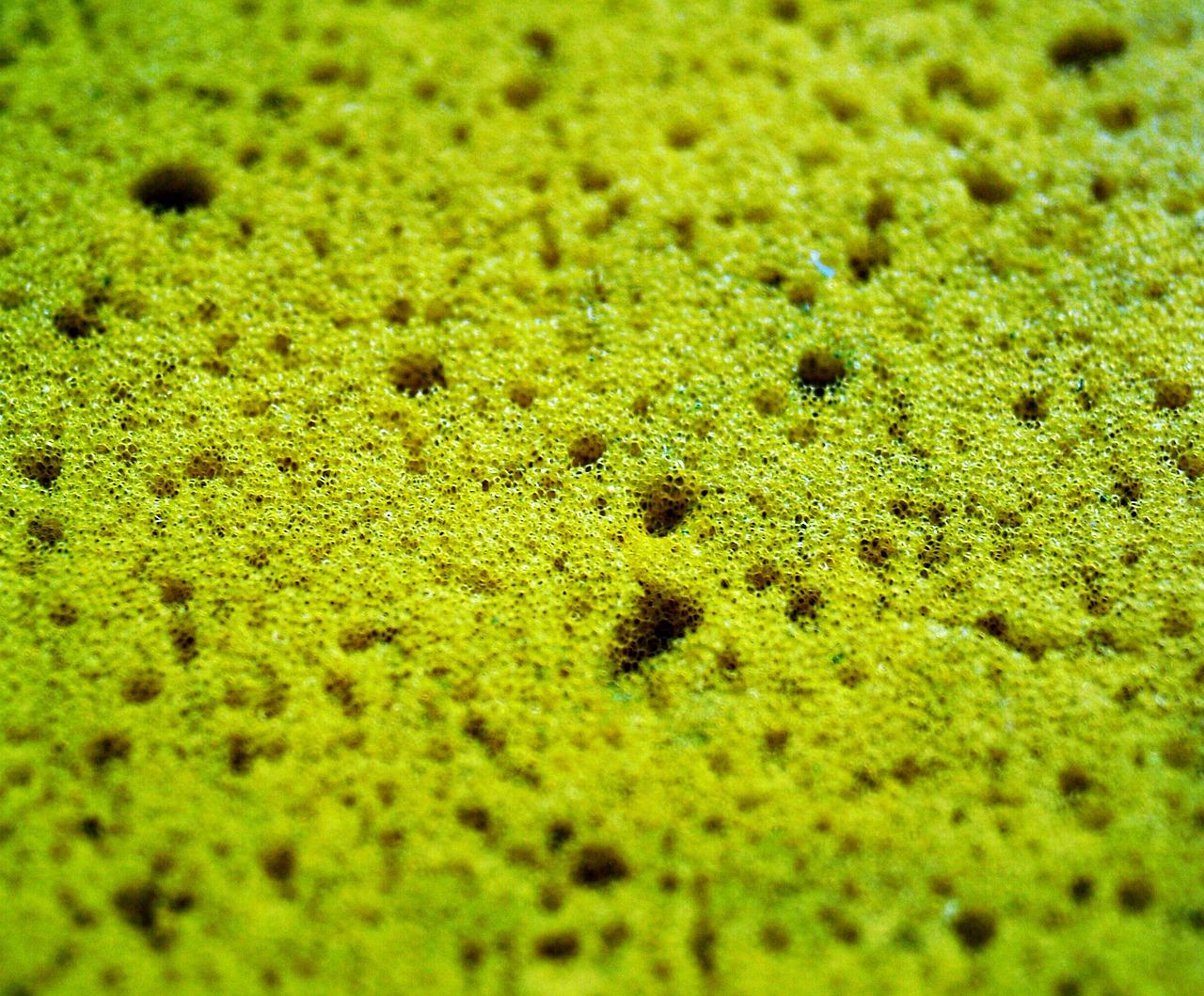 搓澡海绵怎么变软