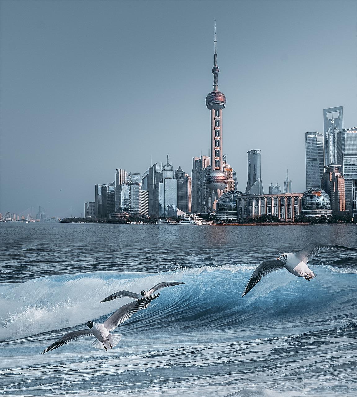 3. 九州国际位置