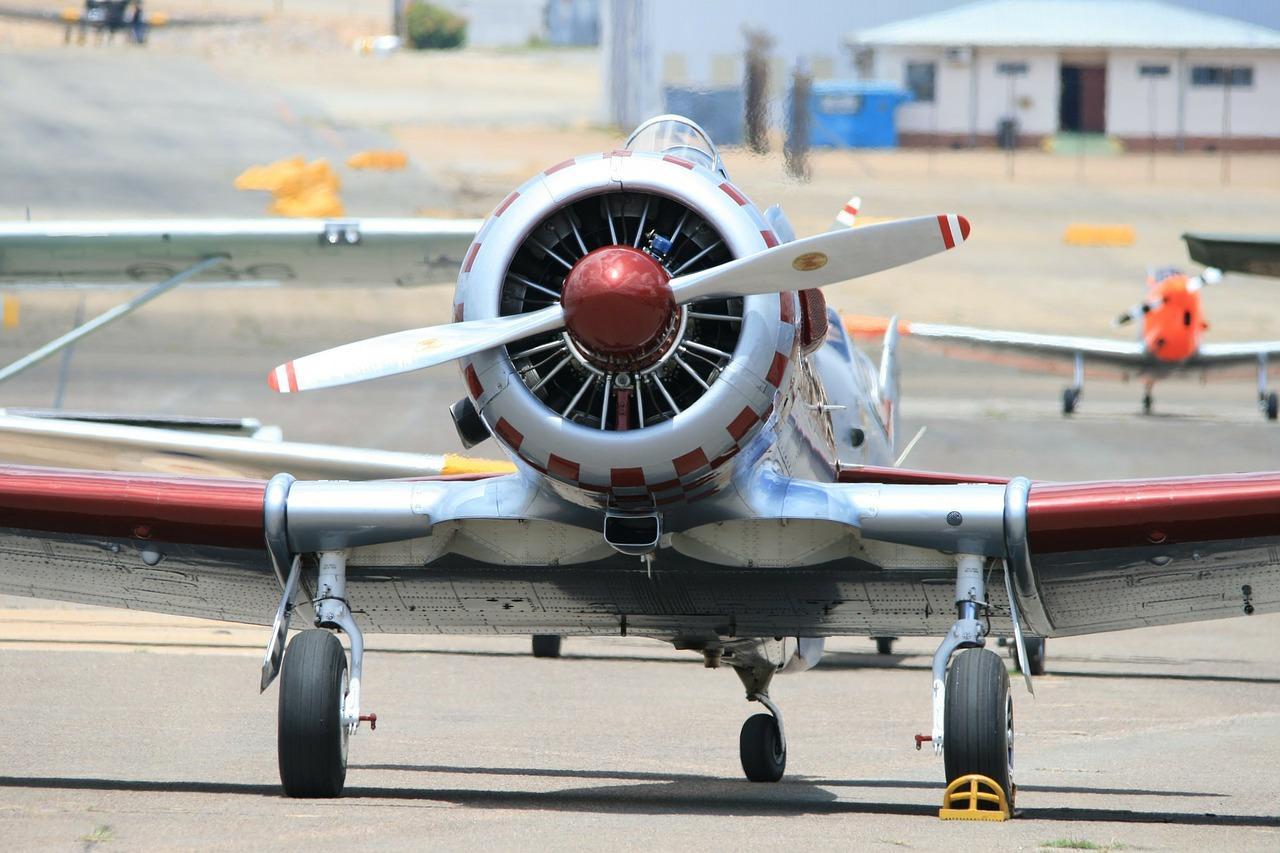 哈佛国际房租多少钱