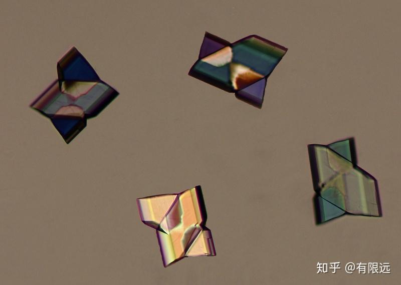 请问显微镜下的针尖状和块状晶体是什么结晶? - 知乎