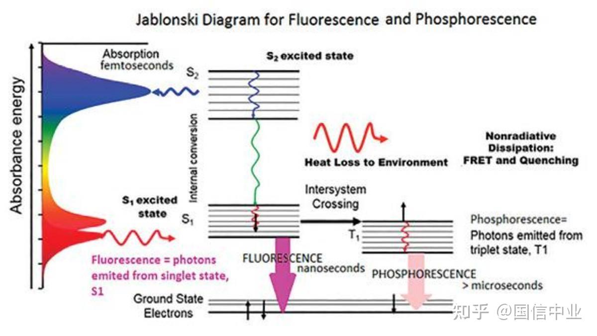 技术解读专栏：什么是荧光光谱？ - 知乎