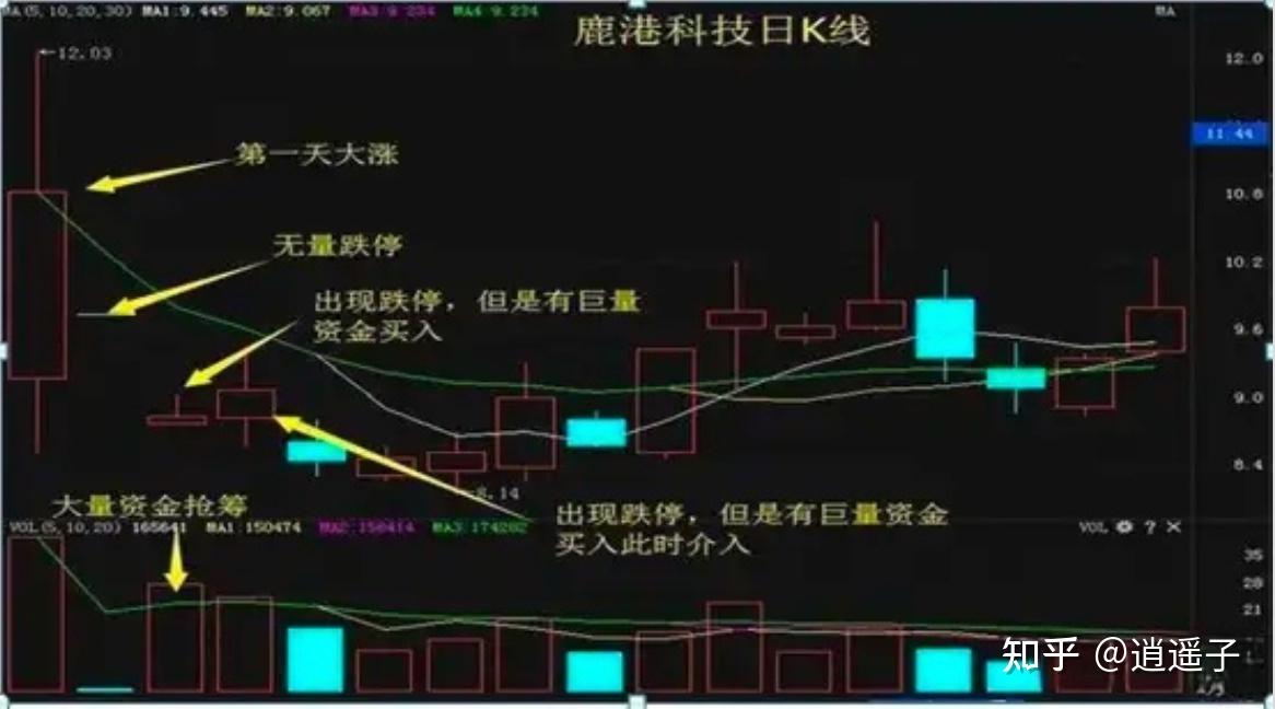 炒股成功的人有多可怕？一位炒股20年的老股民分享股市盈利的绝技 - 知乎