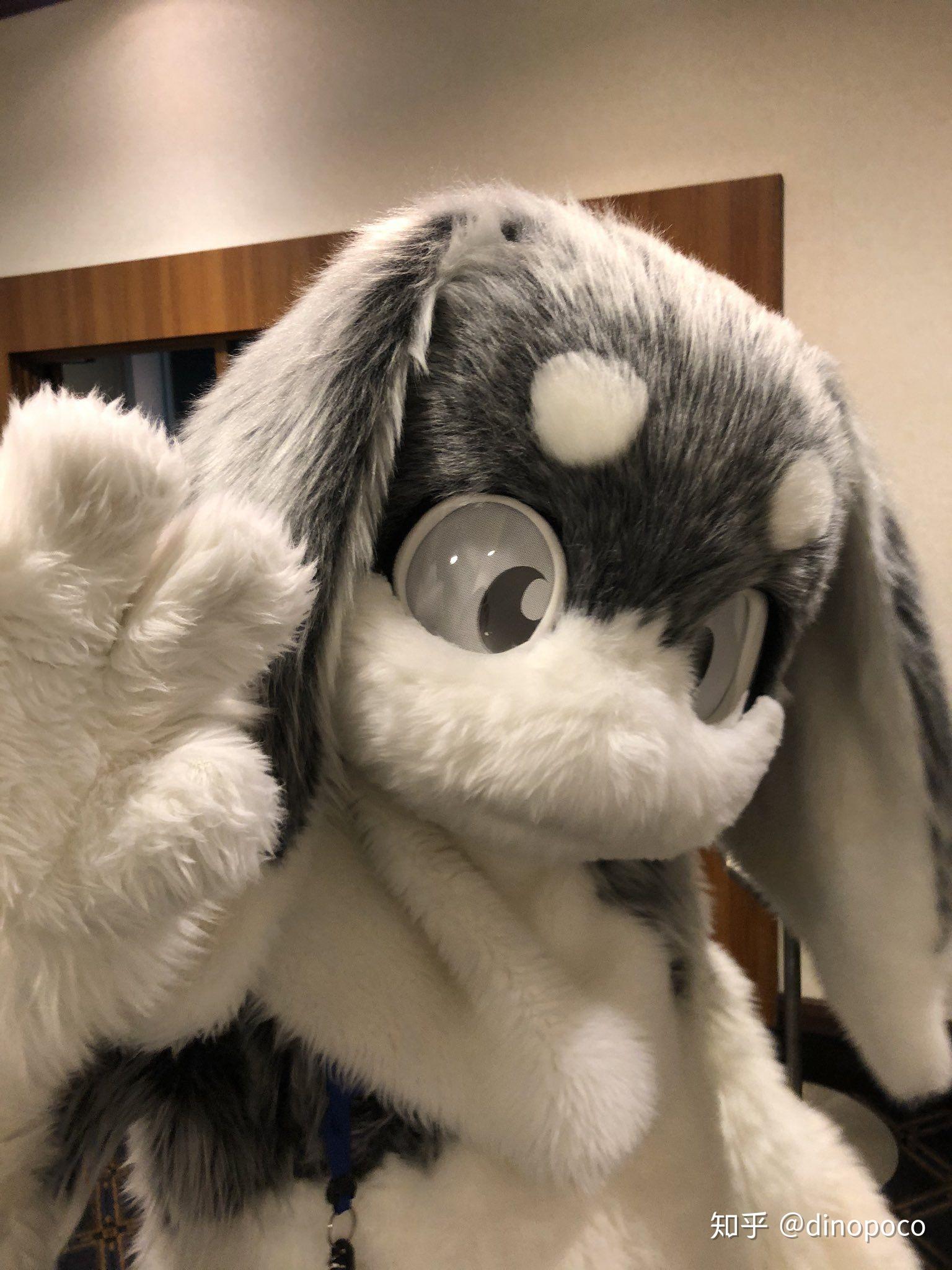 求一些可爱的兔子兽装图片