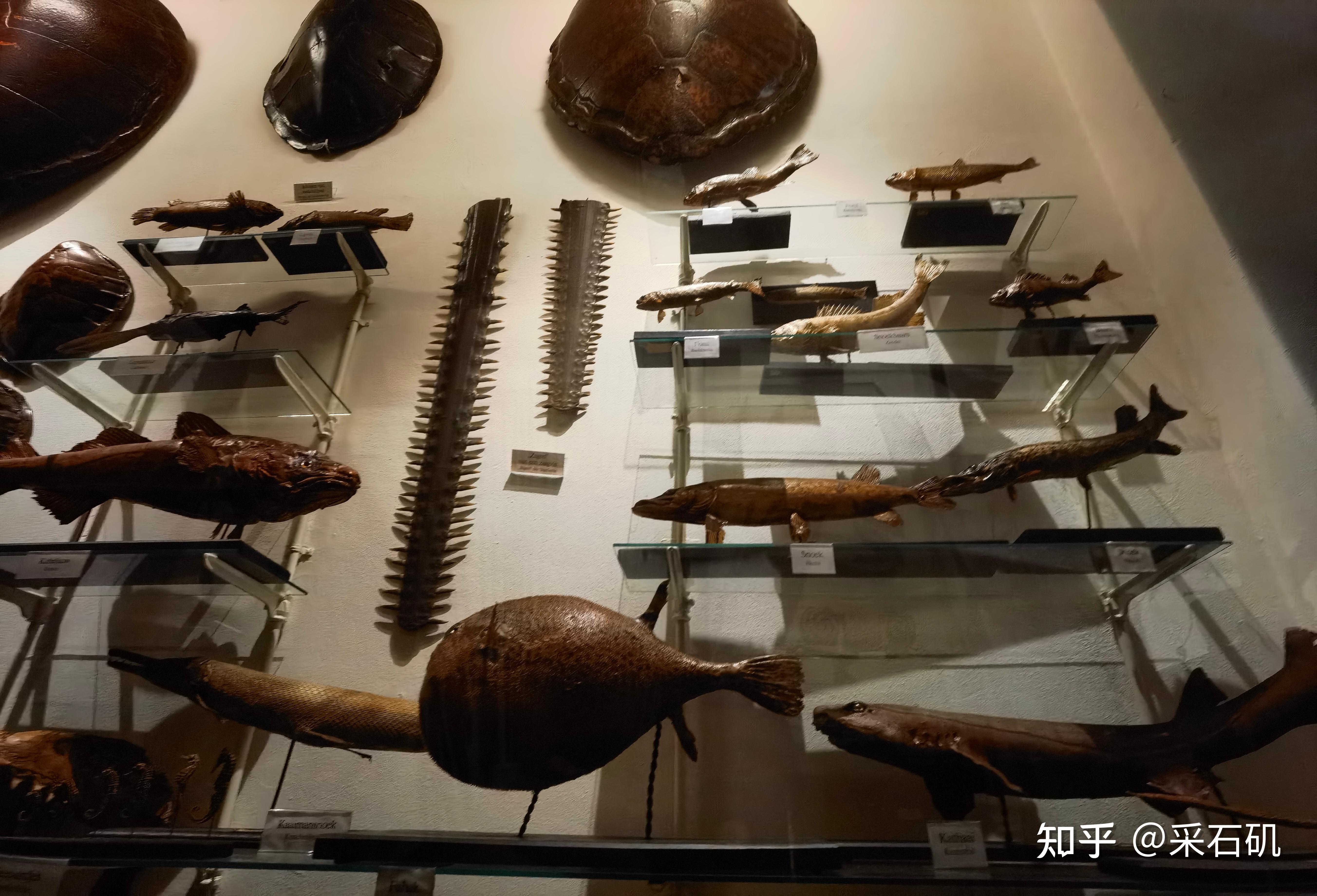 该博物馆主要展示与天主教传教士相关的展品,包括家庭用品,传教士照片