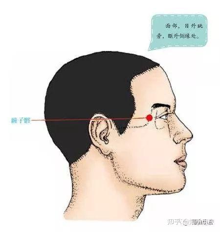 足少阳胆经 - 知乎