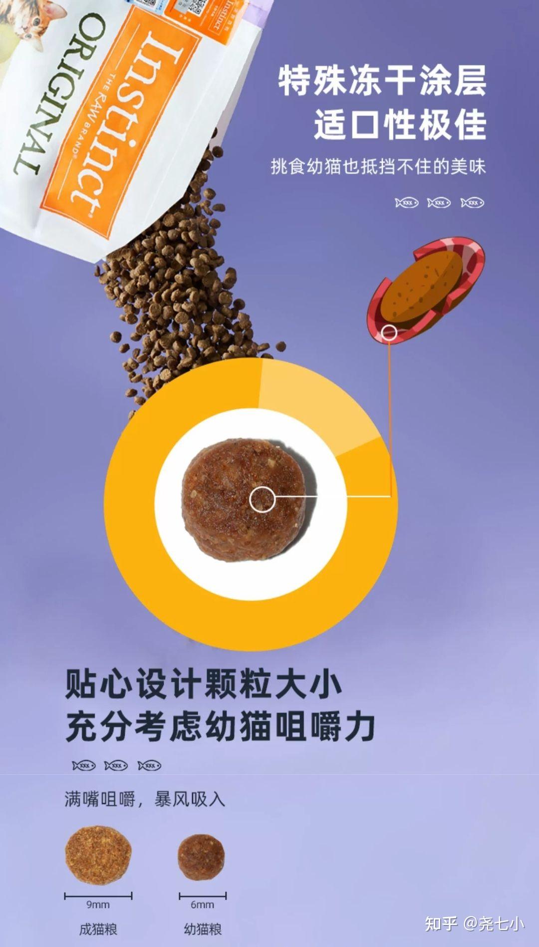 怎样选购幼猫的猫粮? - 知乎