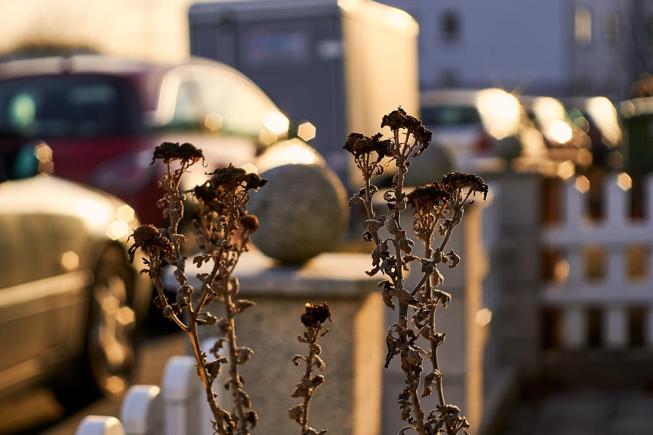 屋里太冷怎么办