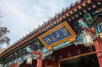北京大学2026年博士招生目录 - 知乎