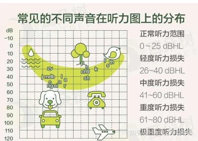 分贝示意图图片