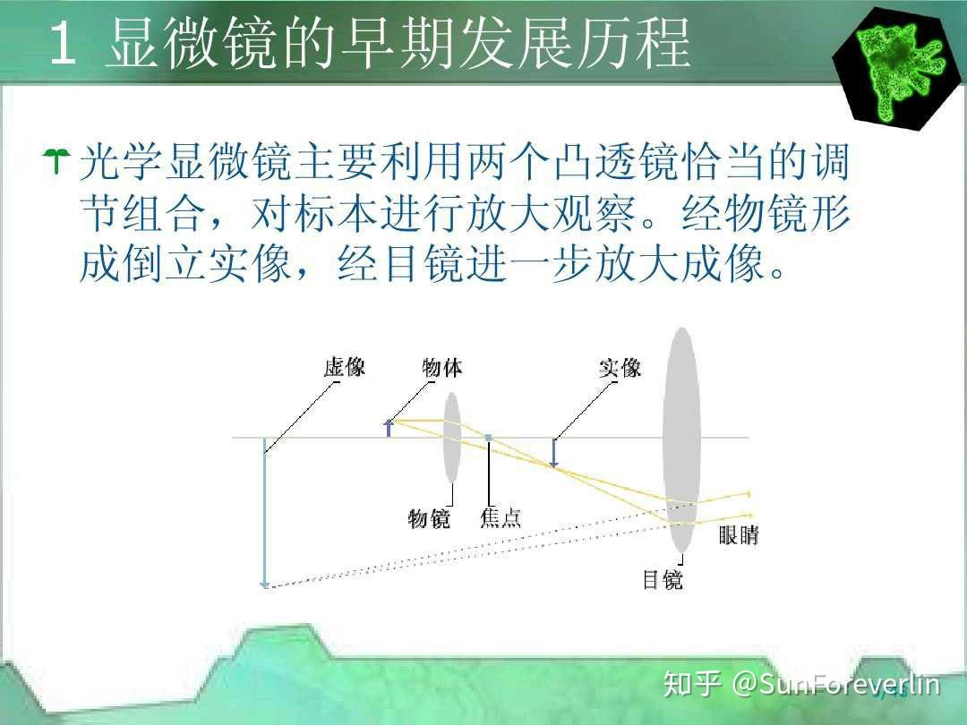 放大镜是什么原理图片