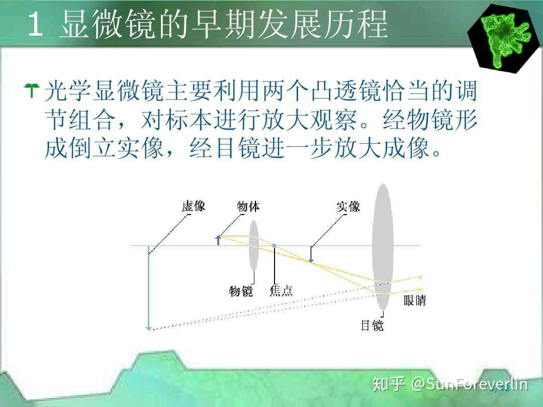 显微镜和放大镜的原理类似么? - 知乎