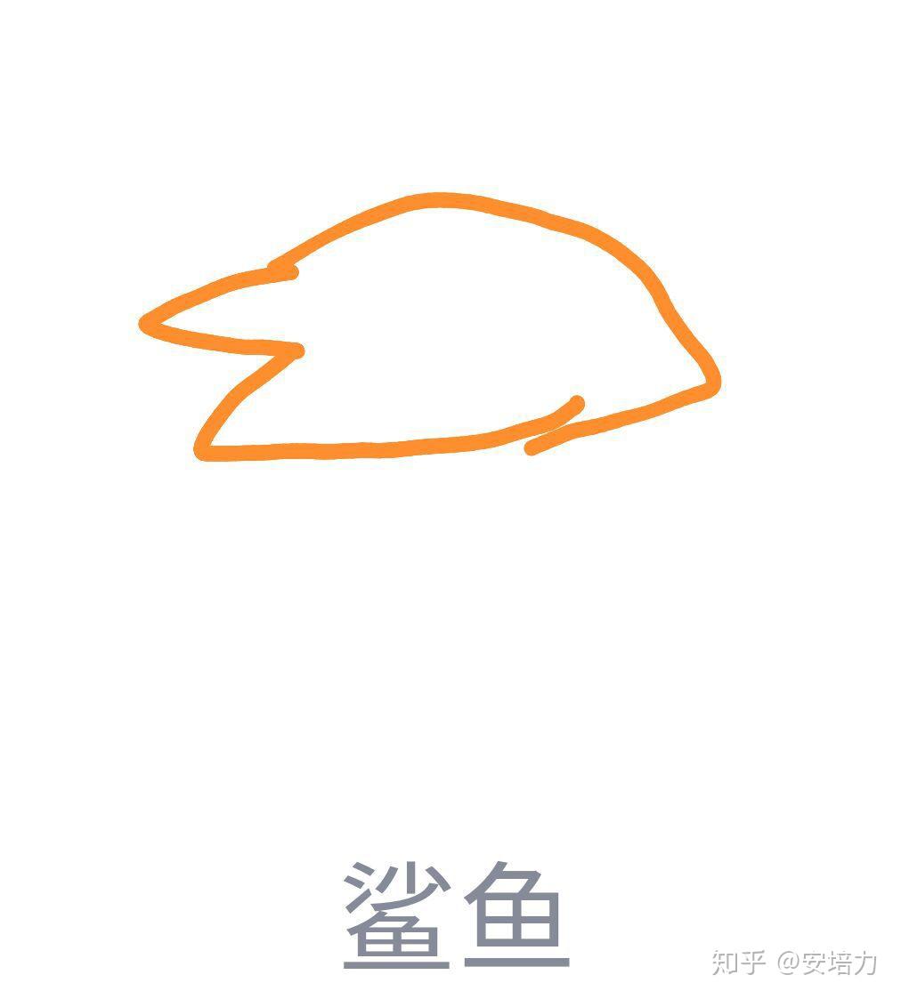 qq红包鲨鱼怎么画