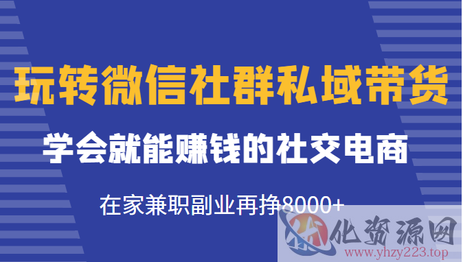 玩转微信社群私域带货，学会就能赚钱的社交电商，在家兼职副业再挣8000+插图