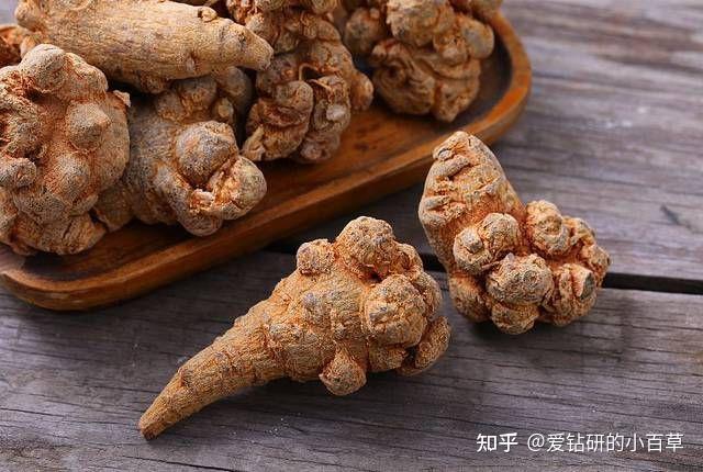 中药材三七的药用功效是什么？ - 知乎