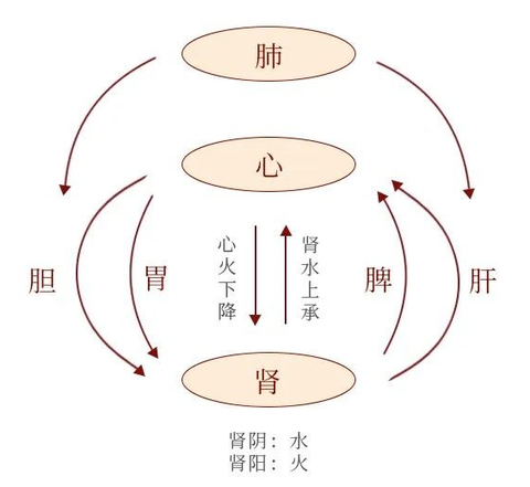 同样是心烦燥热，教你分辨是血燥、血瘀还是肾虚，解你心中忧愁 - 知乎