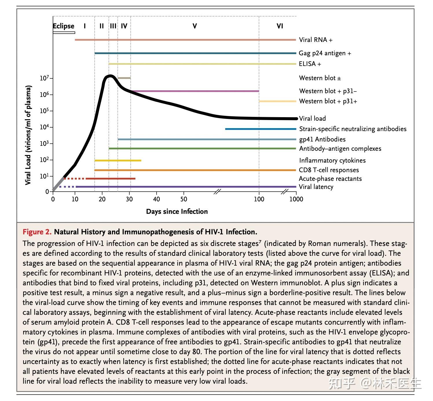 32天化学发光法检测抗体有0.39 1能不能排除hiv感染? - 知乎
