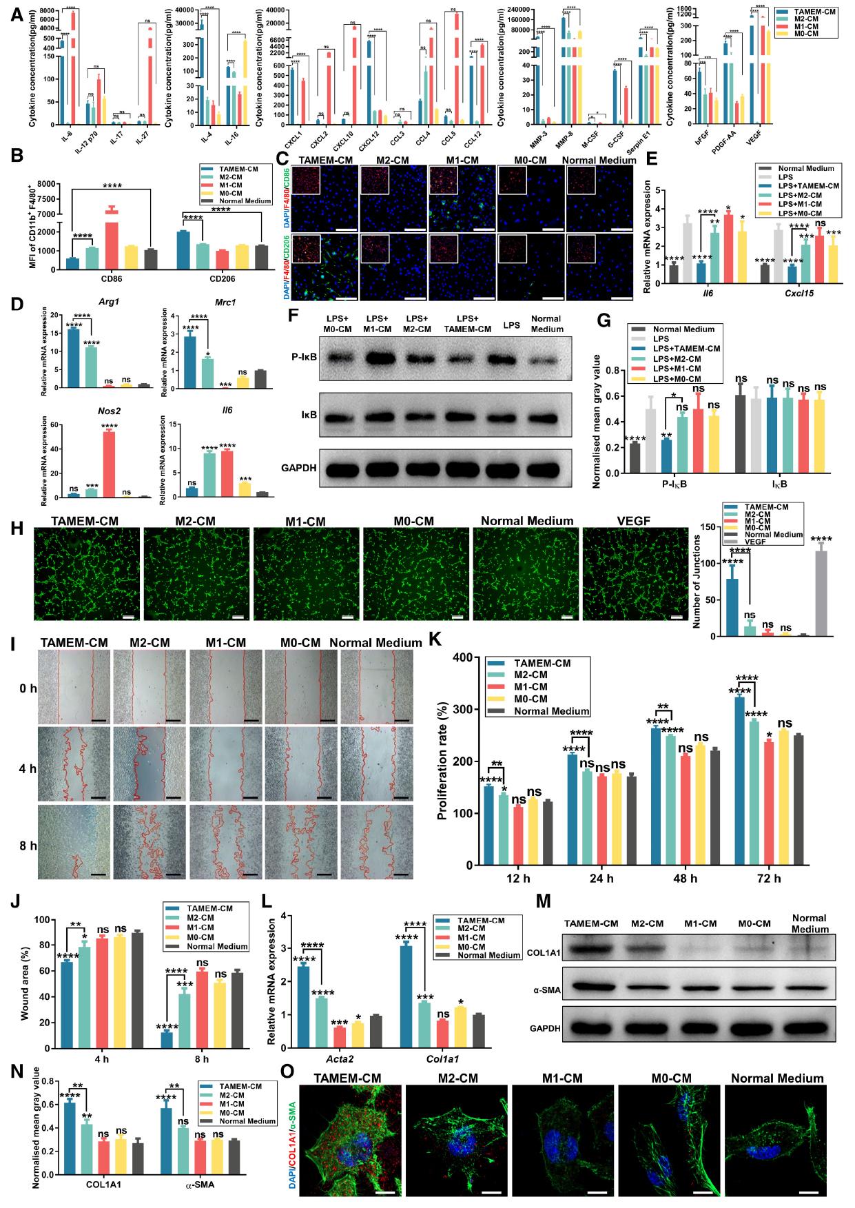 Raybio EMBO Molecular Medicine(IF:14.260)|RayBio抗体芯片助力糖尿病患者伤口修复研究 - 知乎