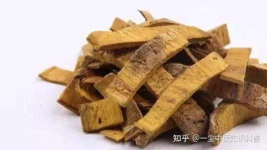 中草药黄柏的功效 - 知乎