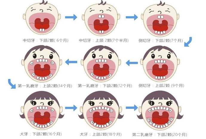 儿童换门牙正常图片图片