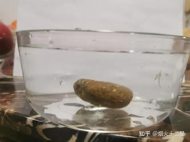 石头沉底(触底)还受浮力吗?