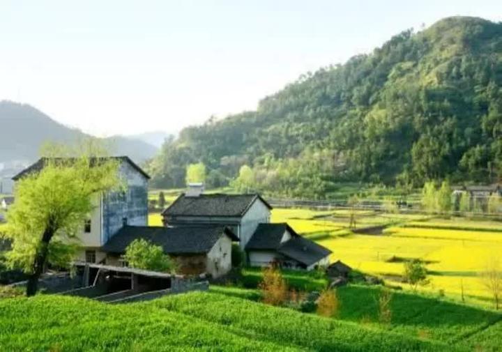 自然资源部:一户多宅、超面积、非集体成员取得宅基地等确权问题 - 知乎