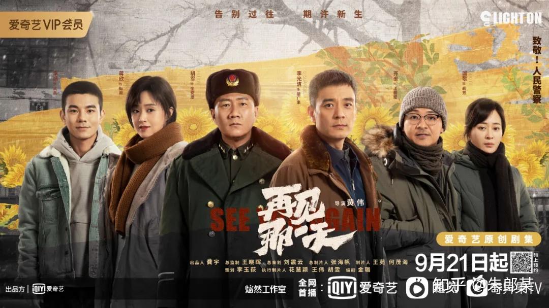 如何评价胡军蒋欣主演的电视剧再见那一天