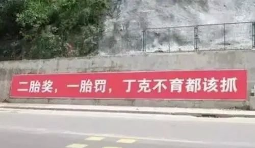 全村都怀上二胎,是村支书不可推卸的责任",要笑死在这些催生标语中了!