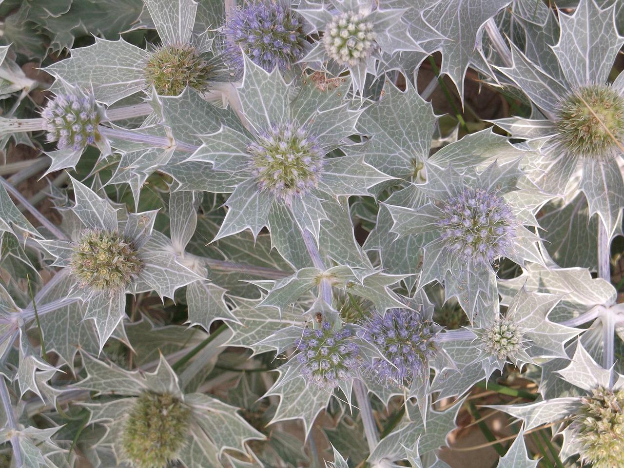 4. 上林学府地产