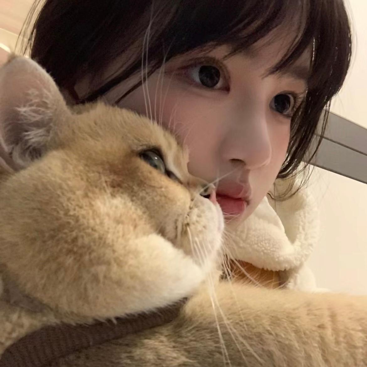 有什么小众又好看的微信头像