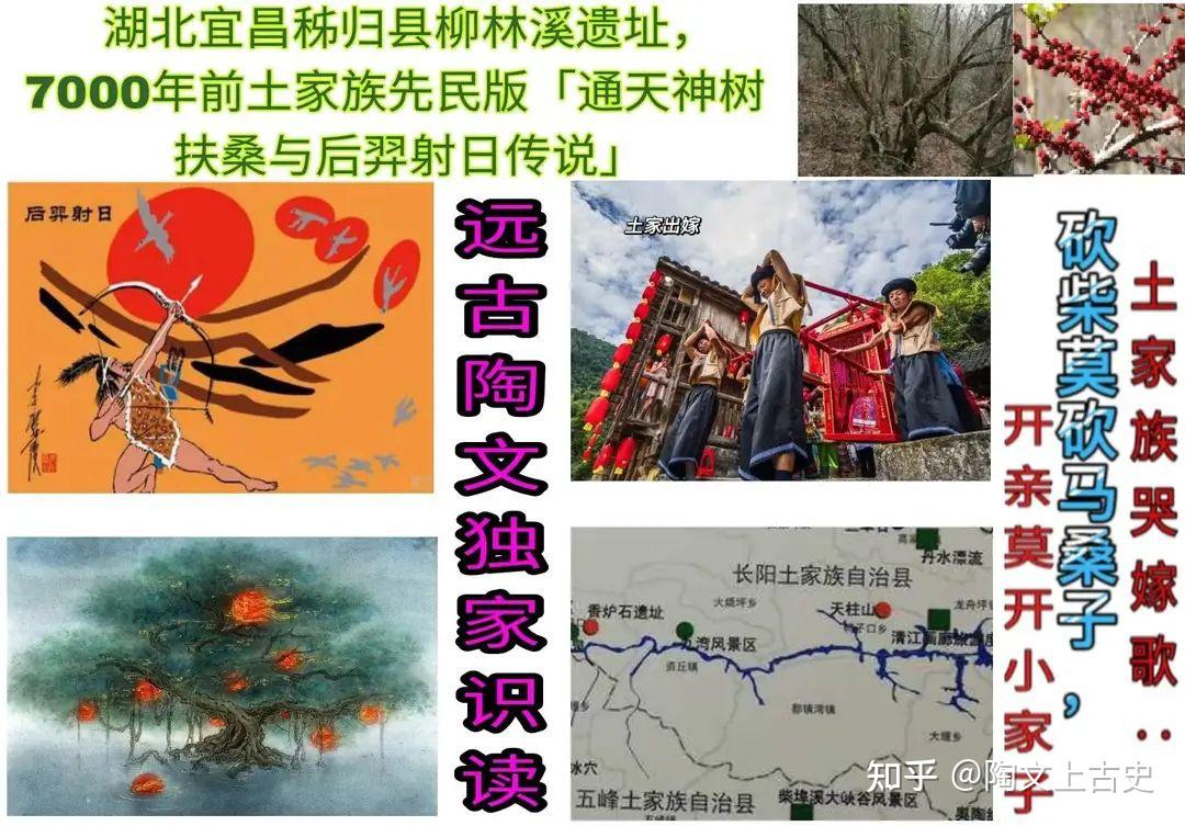 7000年前陶文忠实契刻:通天神树扶桑的真面目,暨土家族先民哭嫁歌,湖北宜昌柳林溪遗址 - 知乎