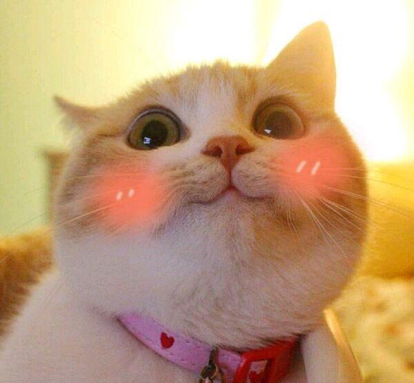 进来学习怎么夸人