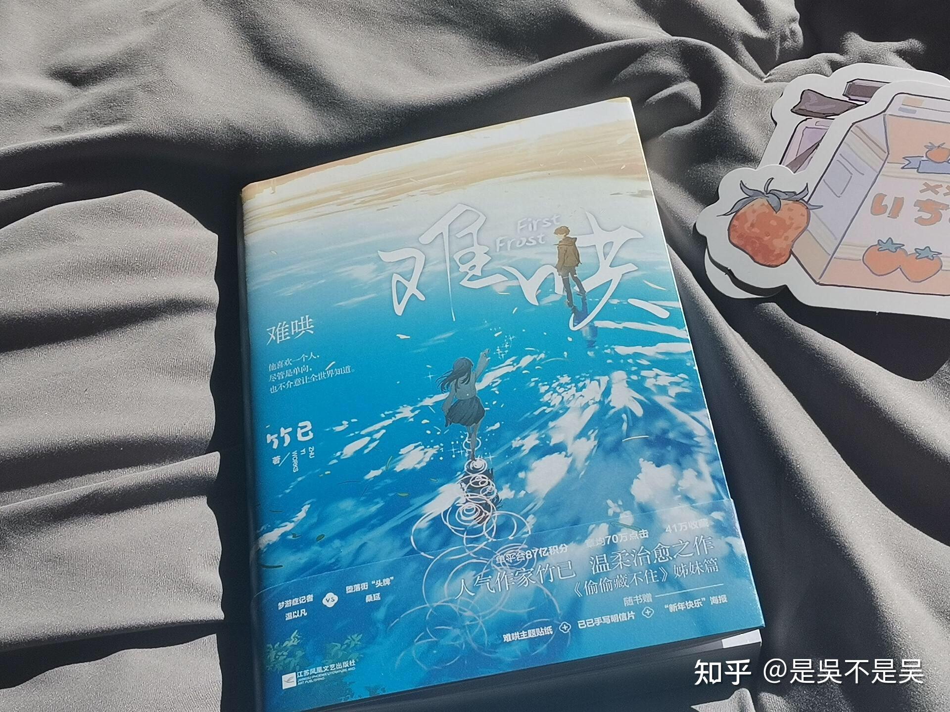 难哄这本实体书只有上册吗